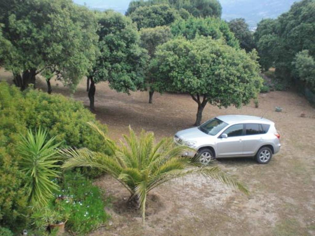 Casa Prescilia Διαμέρισμα Lumio  Δωμάτιο φωτογραφία