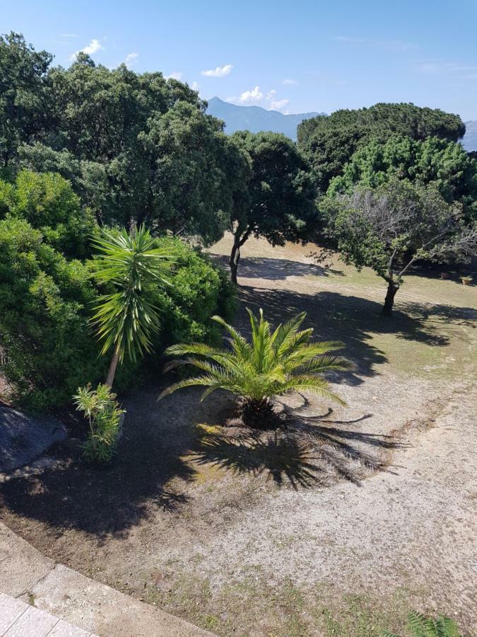 Casa Prescilia Διαμέρισμα Lumio  Εξωτερικό φωτογραφία