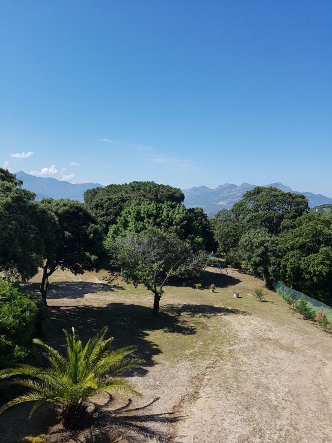 Casa Prescilia Διαμέρισμα Lumio  Εξωτερικό φωτογραφία