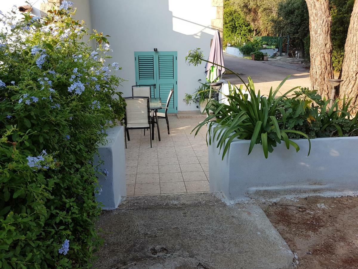 Casa Prescilia Διαμέρισμα Lumio  Εξωτερικό φωτογραφία