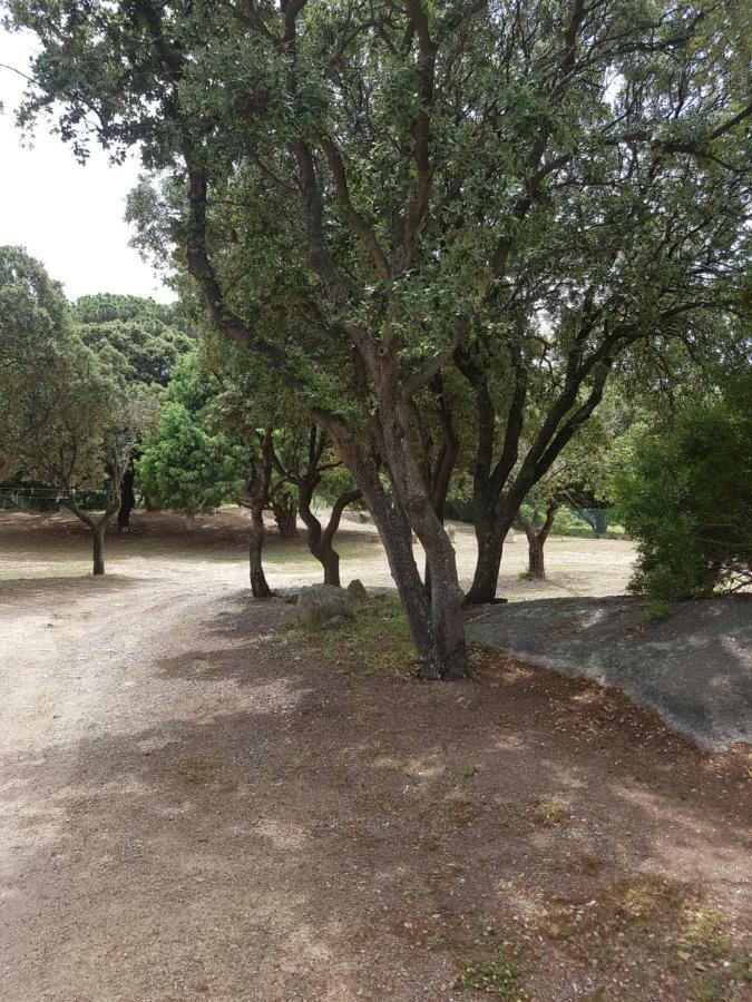 Casa Prescilia Διαμέρισμα Lumio  Εξωτερικό φωτογραφία