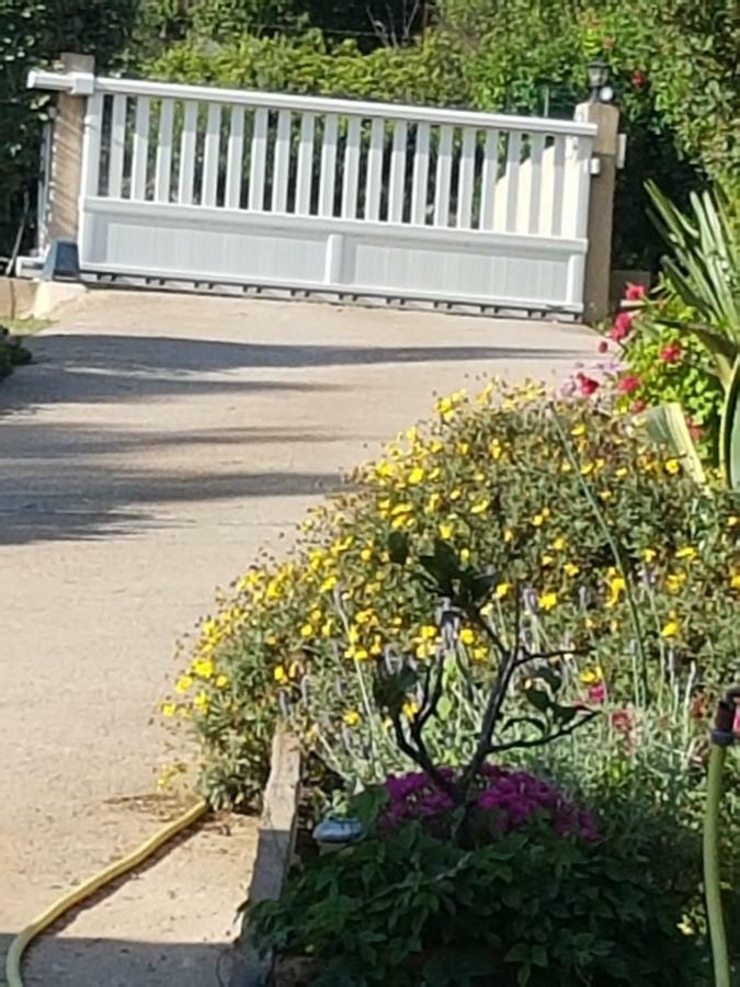 Casa Prescilia Διαμέρισμα Lumio  Εξωτερικό φωτογραφία